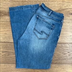Silver Jeans Avery Trouser 36 x 33